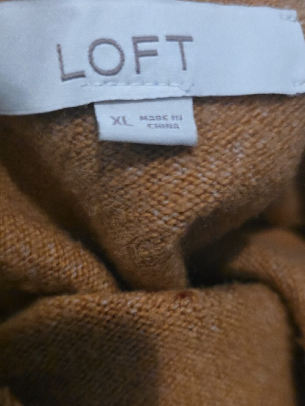 LOFT Camel 'SPICE' Pumpkin Graphic Crewneck Sweater - Picture 4 of 5
